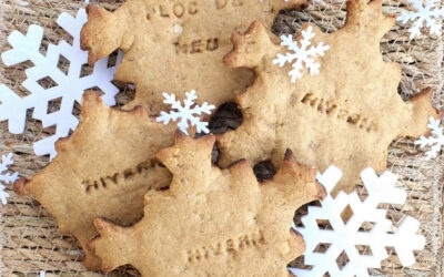 GALLETAS DE INVIERNO